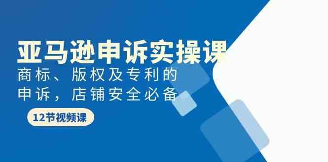 （9754期）亚马逊-申诉实战课，​商标、版权及专利的申诉，店铺安全必备-来此网赚