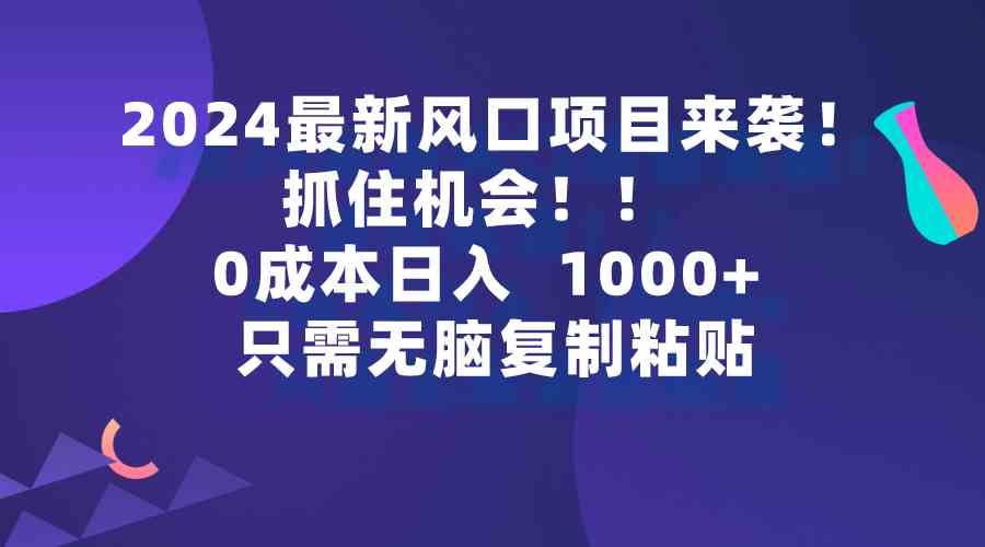 （9899期）2024最新风口项目来袭，抓住机会，0成本一部手机日入1000+，只需无脑复…-来此网赚