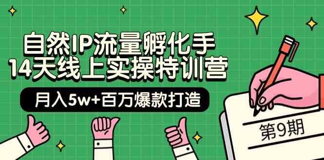 （9881期）自然IP流量孵化手 14天线上实操特训营【第9期】月入5w+百万爆款打造 (74节)-来此网赚