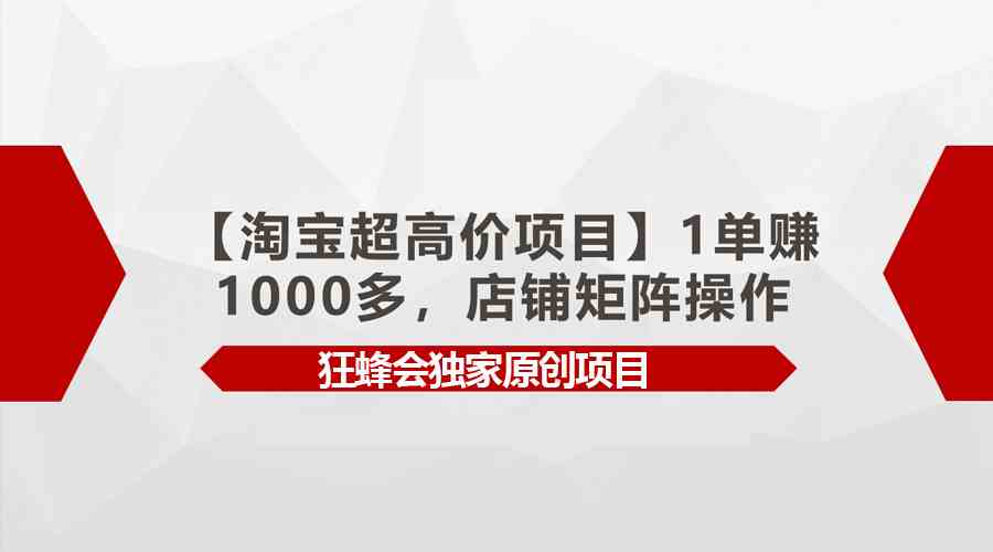 （9849期）【淘宝超高价项目】1单赚1000多，店铺矩阵操作-来此网赚