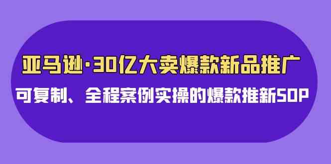 （9944期）亚马逊30亿·大卖爆款新品推广，可复制、全程案例实操的爆款推新SOP-来此网赚