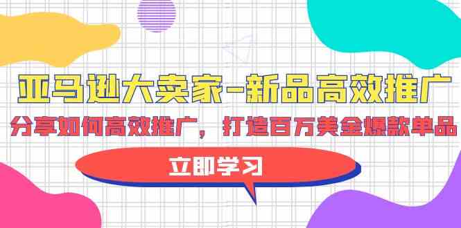 （9945期）亚马逊 大卖家-新品高效推广，分享如何高效推广，打造百万美金爆款单品-来此网赚