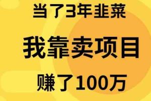 （10149期）当了3年韭菜，我靠卖项目赚了100万-来此网赚