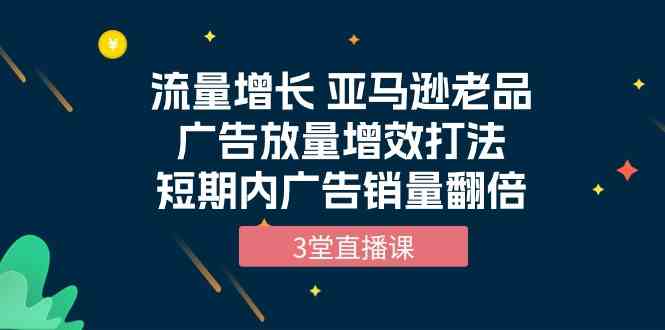 （10112期）流量增长 亚马逊老品广告放量增效打法，短期内广告销量翻倍（3堂直播课）-来此网赚