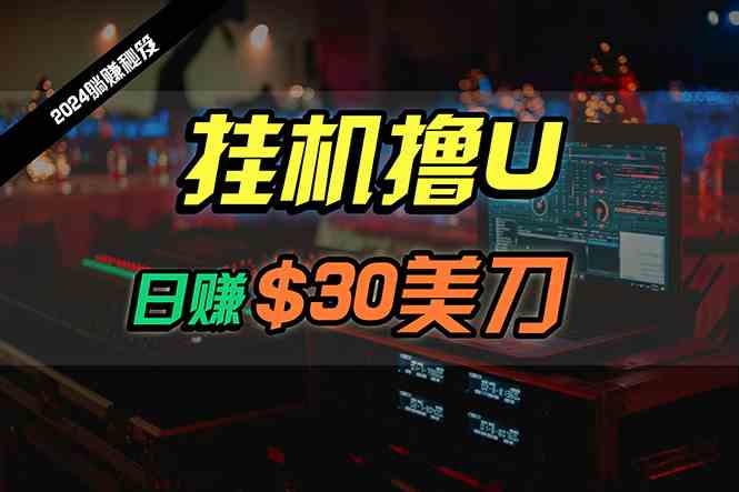 （10013期）日赚30美刀，2024最新海外挂机撸U内部项目，全程无人值守，可批量放大-来此网赚