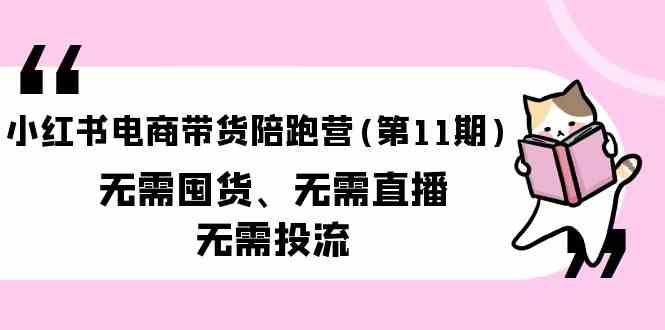 （9996期）小红书电商带货陪跑营(第11期)无需囤货、无需直播、无需投流（送往期10套）-来此网赚