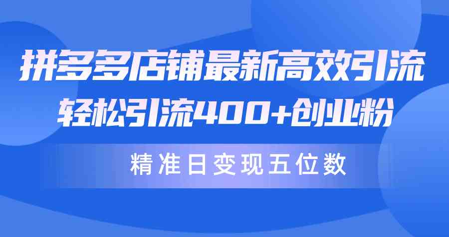 （10041期）拼多多店铺最新高效引流术，轻松引流400+创业粉，精准日变现五位数！-来此网赚