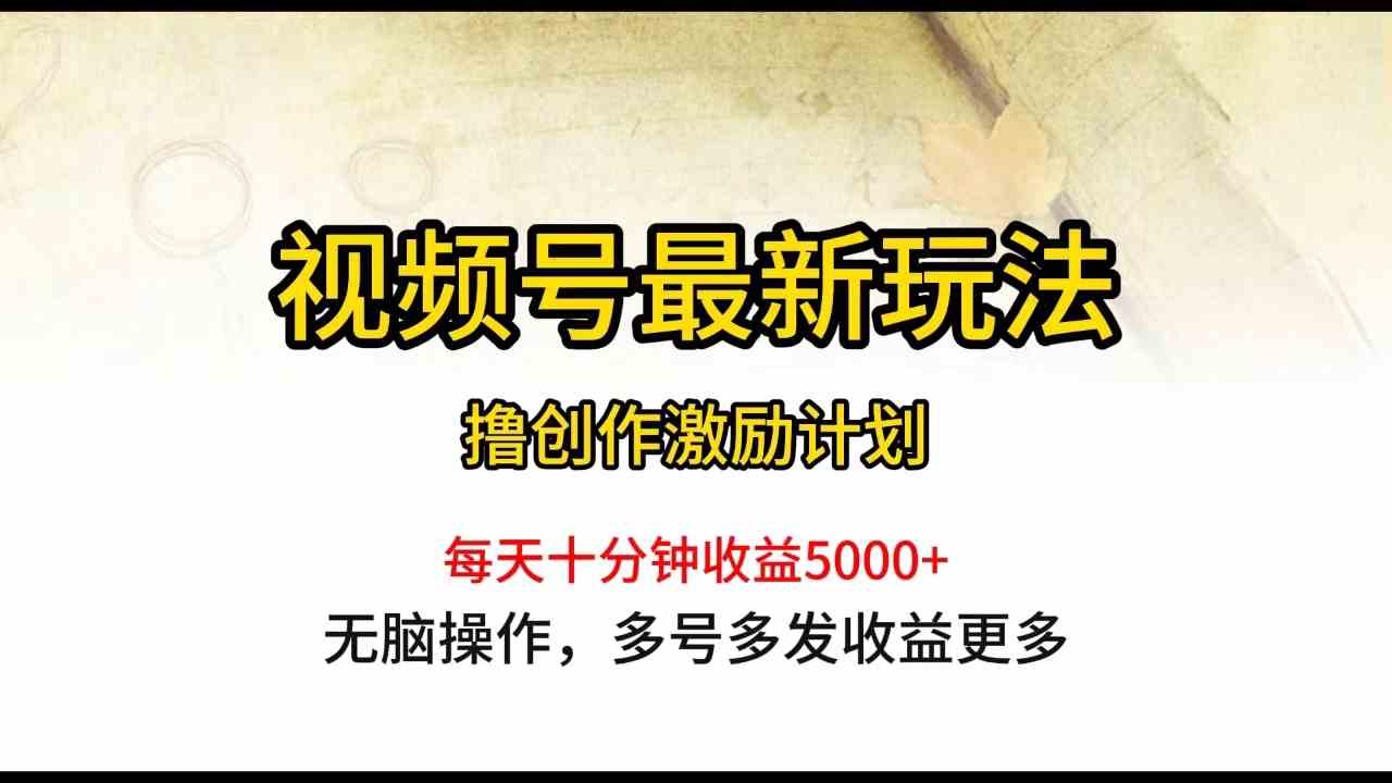 （10087期）视频号最新玩法，每日一小时月入5000+-来此网赚