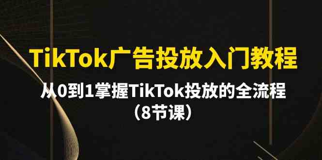 （10085期）TikTok广告投放入门教程，从0到1掌握TikTok投放的全流程（8节课）-来此网赚