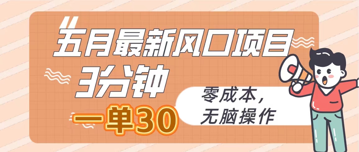 （10256期）五月最新风口项目，3分钟一单30，零成本，无脑操作-来此网赚