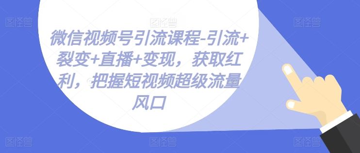 微信视频号引流课程-引流+裂变+直播+变现，获取红利，把握短视频超级流量风口-来此网赚