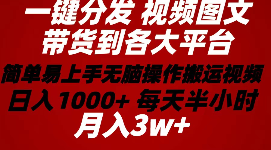 （10667期）2024年 一键分发带货图文视频  简单易上手 无脑赚收益 每天半小时日入1…-来此网赚