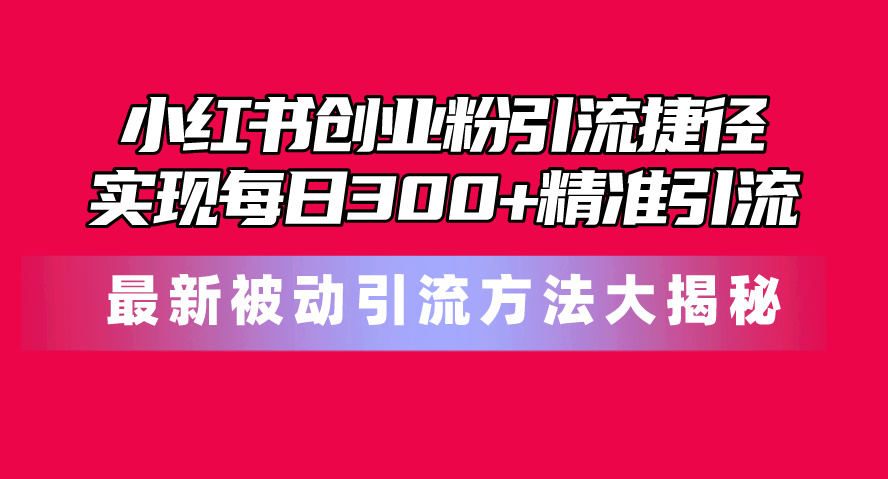 （10692期）小红书创业粉引流捷径！最新被动引流方法大揭秘，实现每日300+精准引流-来此网赚