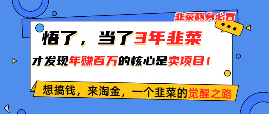 （10759期）悟了，当了3年韭菜，才发现网赚圈年赚100万的核心是卖项目，含泪分享！-来此网赚