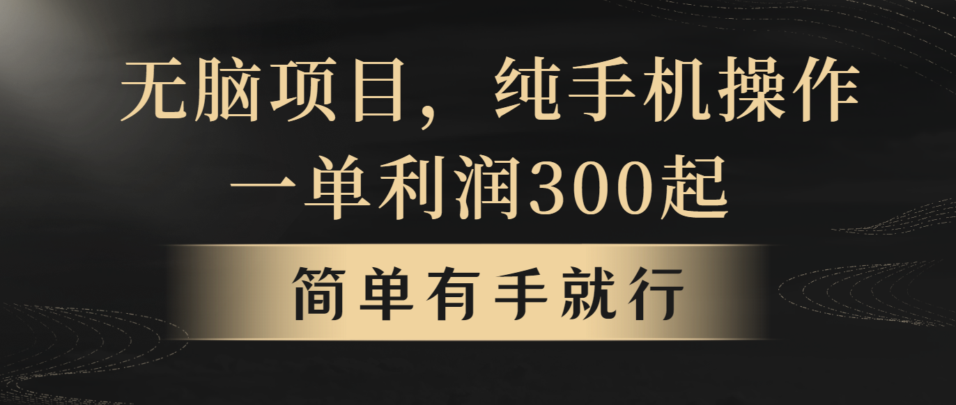 （10589期）无脑项目，一单几百块，轻松月入5w+，看完就能直接操作-来此网赚