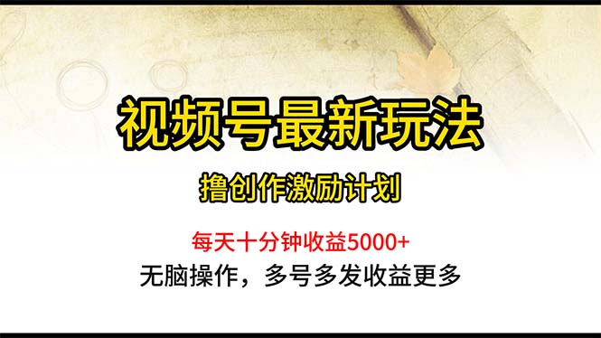 （10591期）视频号最新玩法，每日一小时月入5000+-来此网赚