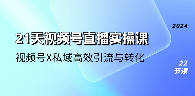 （10966期）21天-视频号直播实操课，视频号X私域高效引流与转化（22节课）-来此网赚