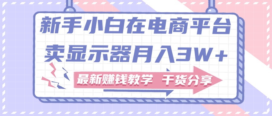 （11053期）新手小白如何做到在电商平台卖显示器月入3W+，最新赚钱教学干货分享-来此网赚