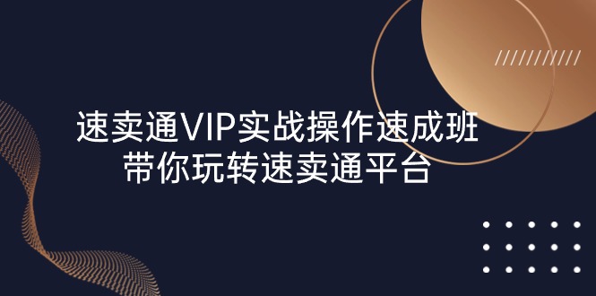 （10935期）速卖通 VIP实战操作-速成班，带你玩转速卖通平台（23节）-来此网赚