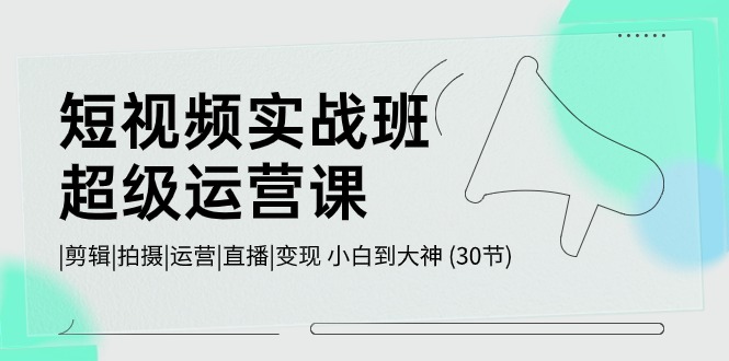 （10836期）短视频实战班-超级运营课，|剪辑|拍摄|运营|直播|变现 小白到大神 (30节)-来此网赚