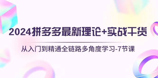 （10816期）2024拼多多 最新理论+实战干货，从入门到精通全链路多角度学习-7节课-来此网赚