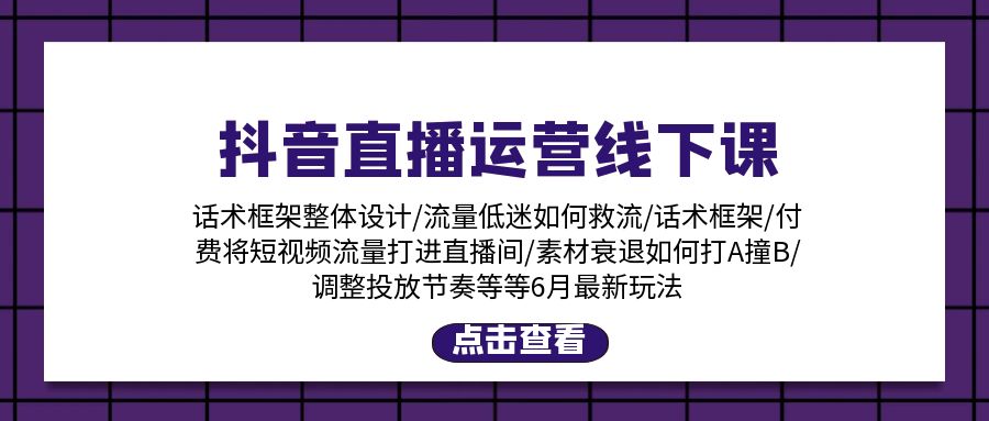 （11211期）抖音直播运营线下课：话术框架/付费流量直播间/素材A撞B/等6月新玩法-来此网赚