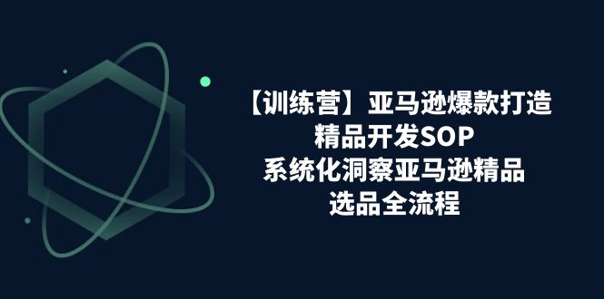 （11210期）【训练营】亚马逊爆款打造之精品开发SOP，系统化洞察亚马逊精品选品全流程-来此网赚