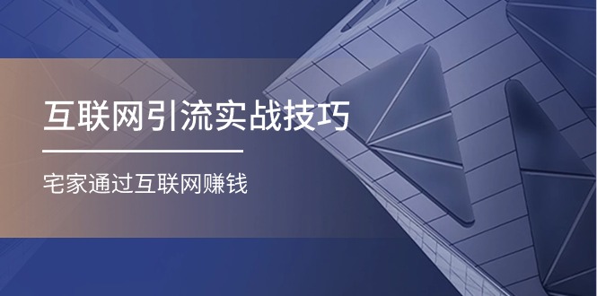 （11108期）互联网引流实操技巧(适合微商，吸引宝妈)，宅家通过互联网赚钱（17节）-来此网赚