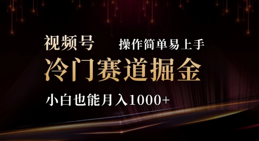 （11378期）2024视频号冷门赛道掘金，操作简单轻松上手，小白也能月入1000+-来此网赚