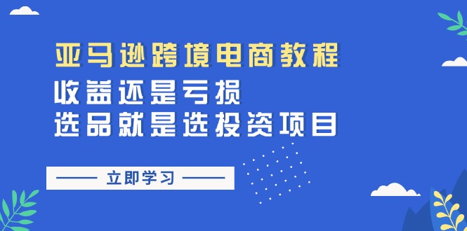 （11432期）亚马逊跨境电商教程：收益还是亏损！选品就是选投资项目-来此网赚