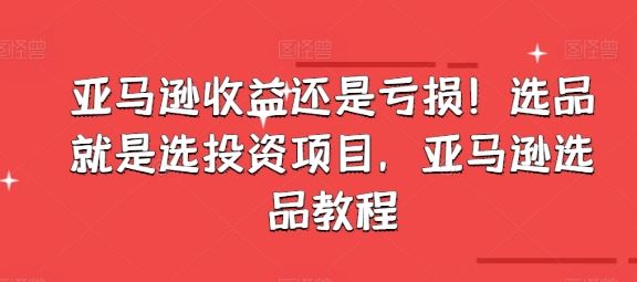 亚马逊收益还是亏损！选品就是选投资项目，亚马逊选品教程-来此网赚