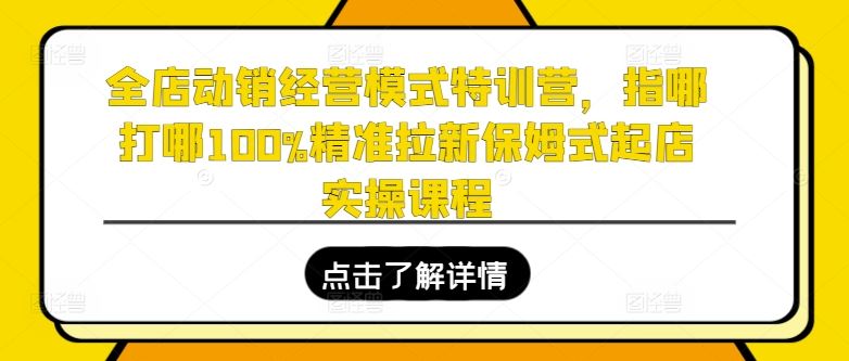 全店动销经营模式特训营，指哪打哪100%精准拉新保姆式起店实操课程-来此网赚