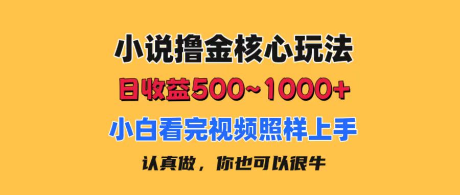 （11461期）小说撸金核心玩法，日收益500-1000+，小白看完照样上手，0成本有手就行-来此网赚