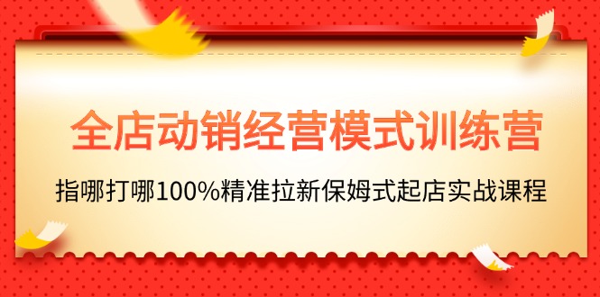 （11460期）全店动销-经营模式训练营，指哪打哪100%精准拉新保姆式起店实战课程-来此网赚