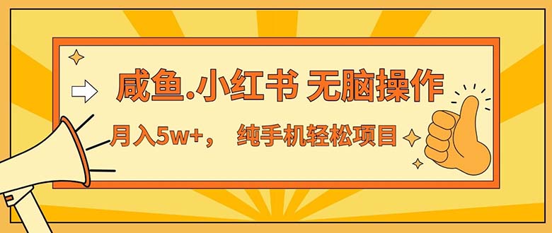 （11524期）2024最赚钱的项目，咸鱼，小红书无脑操作，每单利润500+，轻松月入5万+…-来此网赚