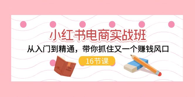 （11533期）小红书电商实战班，从入门到精通，带你抓住又一个赚钱风口（16节）-来此网赚