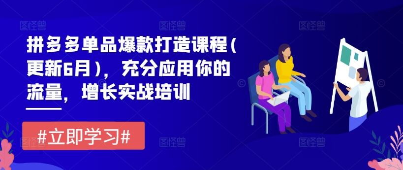 拼多多单品爆款打造课程(更新6月)，充分应用你的流量，增长实战培训-来此网赚