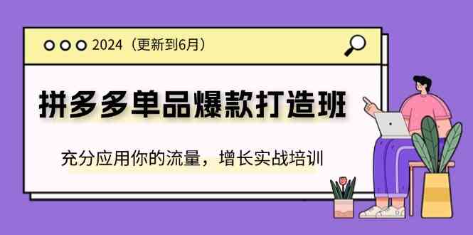 2024拼多多单品爆款打造班，充分应用你的流量，增长实战培训(更新6月)-来此网赚