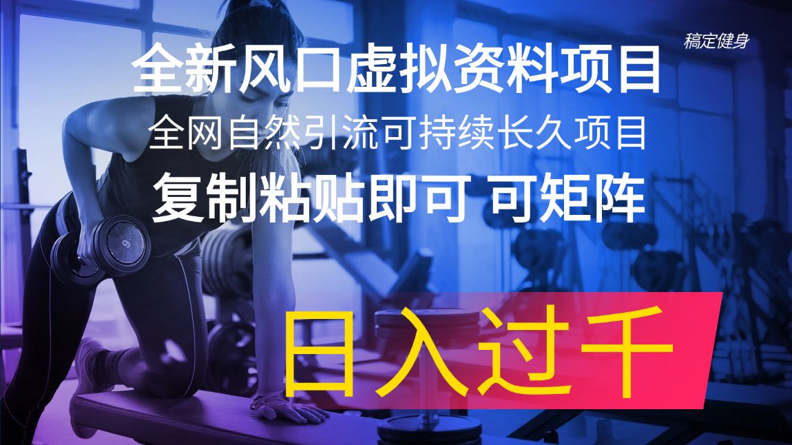 （11587期）全新风口虚拟资料项目 全网自然引流可持续长久项目 复制粘贴即可可矩阵…-来此网赚