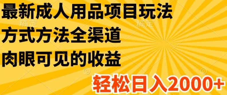 最新成人用品项目玩法，方式方法全渠道，轻松日入2K+【揭秘】-来此网赚