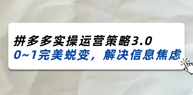 （11658期）2024_2025拼多多实操运营策略3.0，0~1完美蜕变，解决信息焦虑（38节）-来此网赚