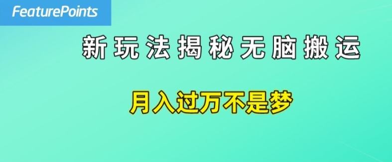 简单操作，每天50美元收入，搬运就是赚钱的秘诀【揭秘】-来此网赚