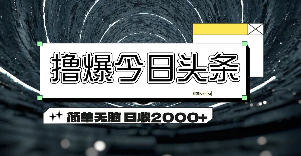 （11665期）撸爆今日头条 简单无脑操作 日收2000+-来此网赚