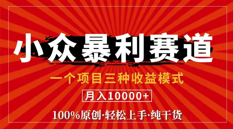 （11695期）视频号【中老年粉深信不疑】小众赛道 100%原创 手把手教学 新号3天收益…-来此网赚