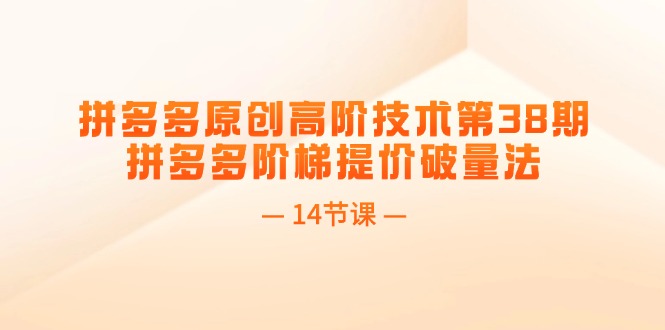 （11704期）拼多多原创高阶技术第38期，拼多多阶梯提价破量法（14节课）-来此网赚