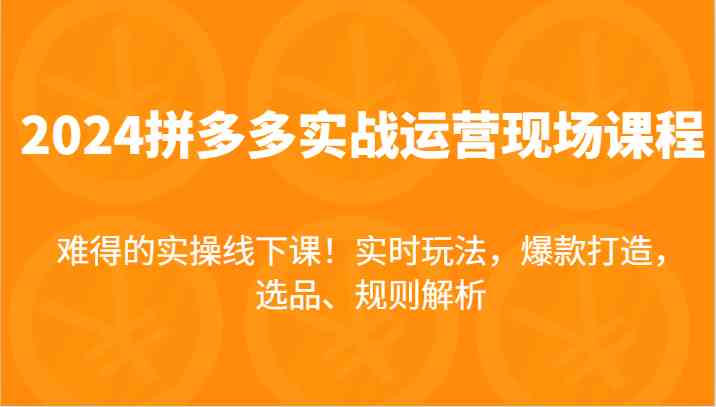 2024拼多多实战运营现场课，实时玩法，爆款打造，选品、规则解析，难得的实操线下课！-来此网赚