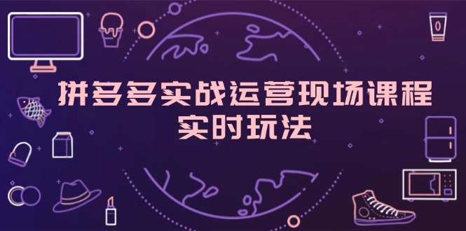 （11759期）拼多多实战运营现场课程，实时玩法，爆款打造，选品、规则解析-来此网赚