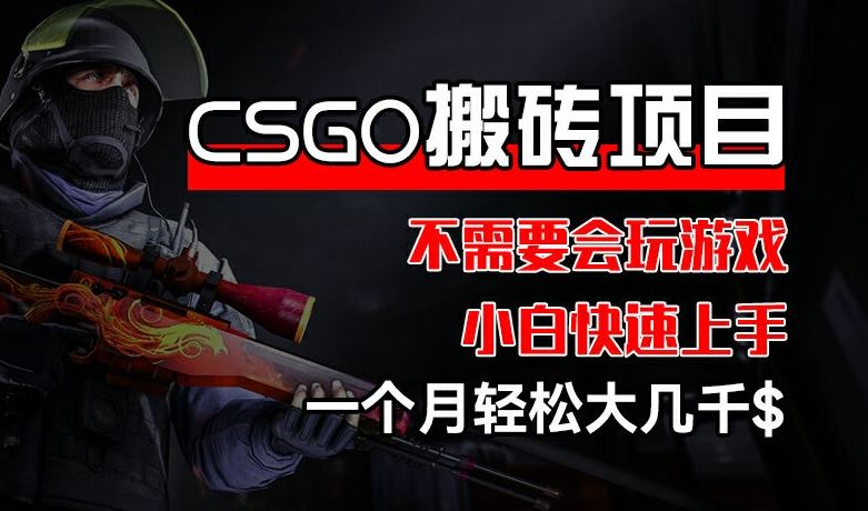 CSGO 装备搬砖项目，操作简单，不需要会玩游戏，小白也能快速上手，一个月轻松大几千【揭秘】-来此网赚