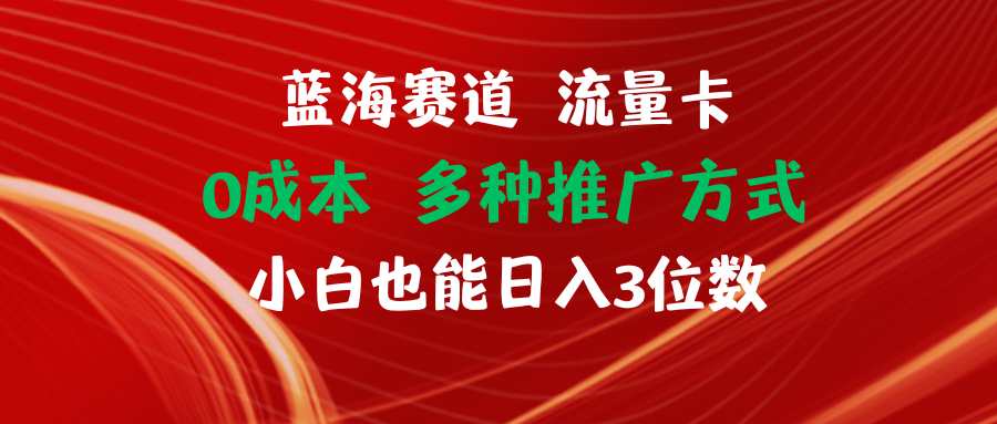 （11768期）蓝海赛道 流量卡 0成本 小白也能日入三位数-来此网赚