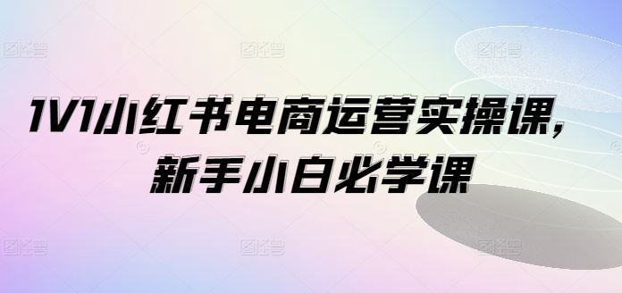 1V1小红书电商运营实操课，新手小白必学课-来此网赚